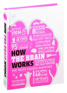 How the Brain Works