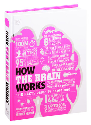 How the Brain Works — 2826165 — 1