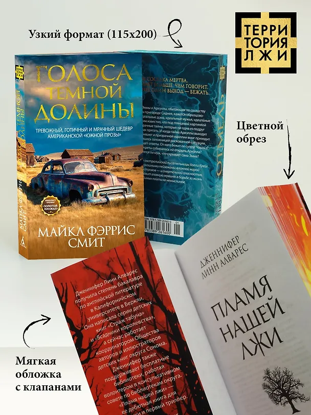 Книга Голоса тёмной долины (Майкл Фэррис Смит) — 8