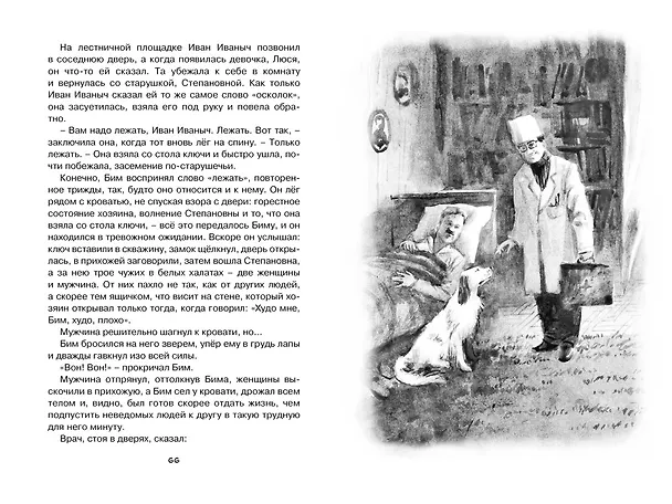 Книга Белый Бим Чёрное ухо (Гавриил Троепольский) — 13