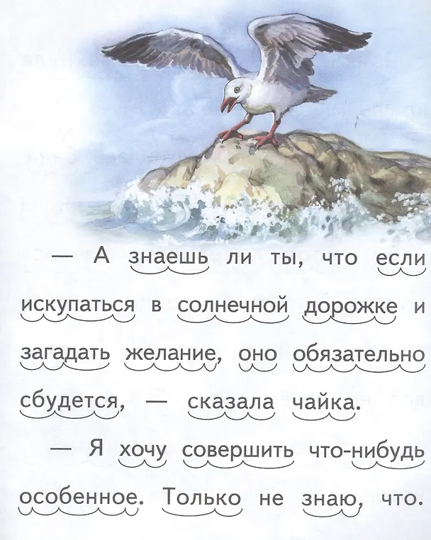 Книга Дельфиненок и чайка (Елена Ермолова) — 5