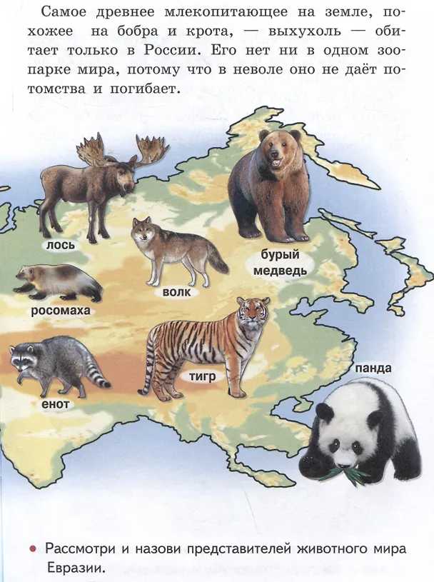 Книга Изучаем окружающий мир (6-7 лет) (Елена Бортникова) — 5