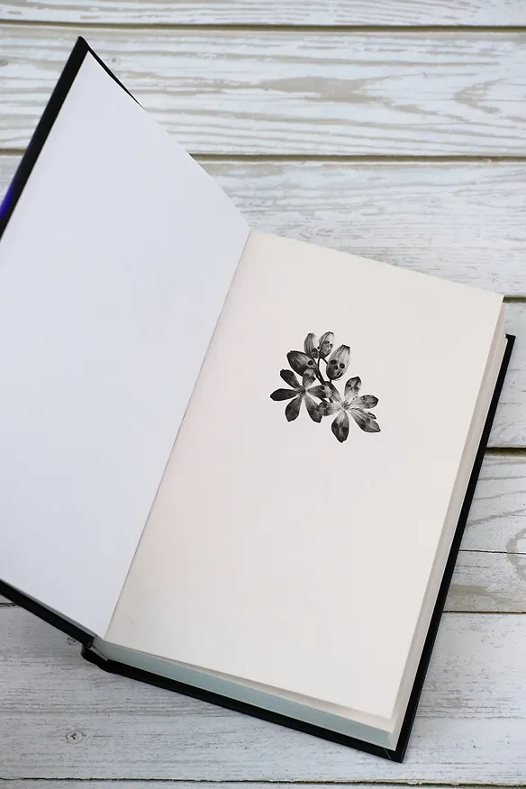 Книга Шепот тьмы (Келли Эндрю) — 9