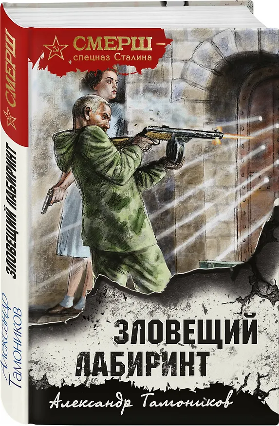 Книга Зловещий лабиринт (Александр Тамоников) — 4
