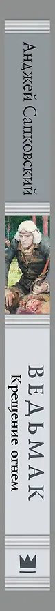 Книга Ведьмак: Крещение огнем (Анджей Сапковский) — 4