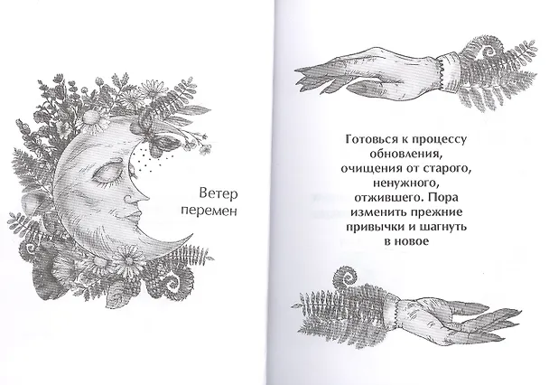 Книга Природный оракул () — 4