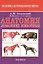 Анатомия домашних животных — 2212478 — 1