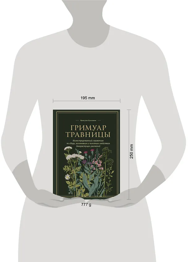 Книга Гримуар травницы. Иллюстрированный справочник по сбору, заготовкам и полезным свойствам дикорастущих растений (Франсуаза Кунстманн) — 16
