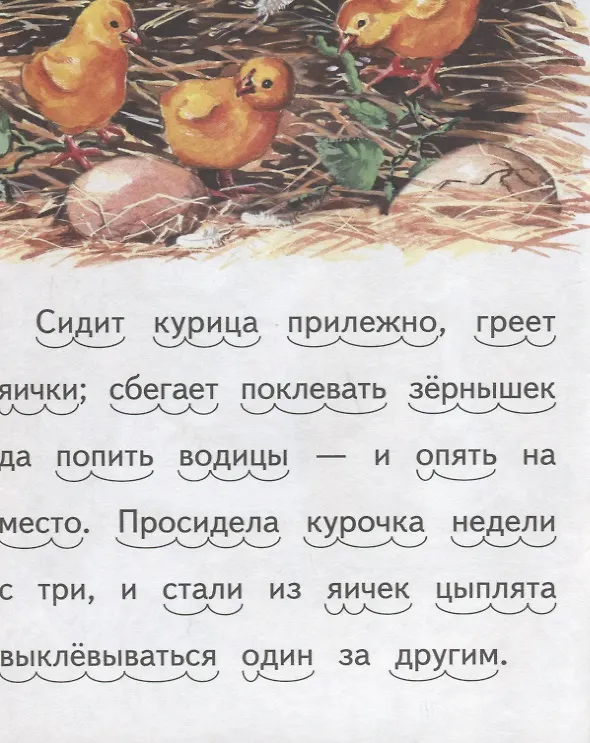 Книга Чужое яичко () — 4