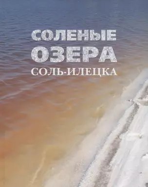 Соленые озера Соль-Илецка — 2787086 — 1