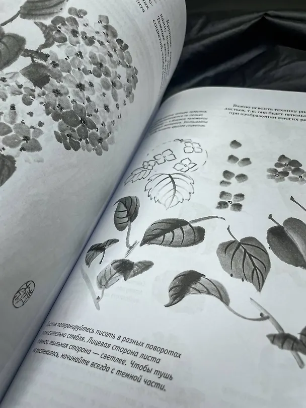Книга Основы японской живописи суми-э (Наталия Безвуляк) — 11