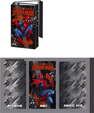 Органайзер детский трехблочный 85*110 "Spider-man" инд.уп., Disney — 227303 — 1