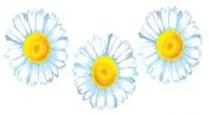 Наклейки для дома, Декоретто, Ромашки