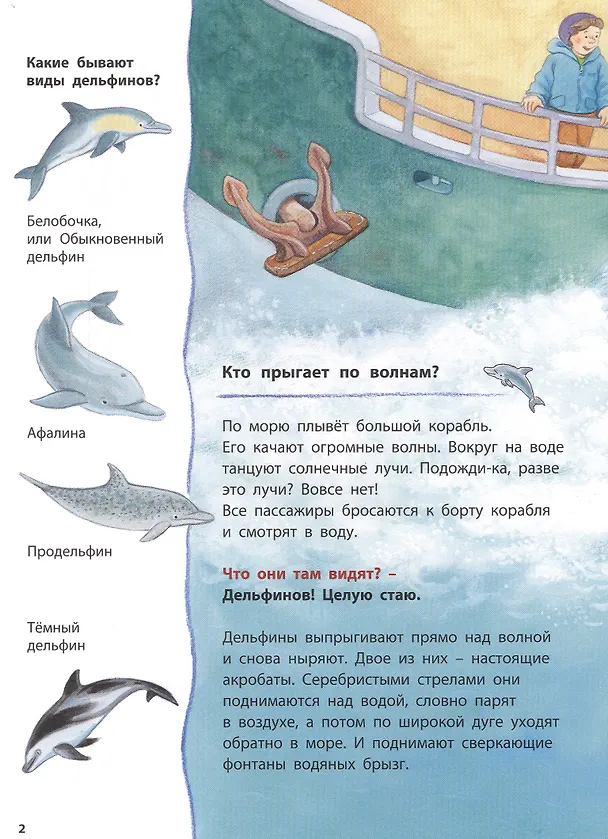 Книга Дельфинчик и его морские соседи. Познавательные истории (Фридерун Райхенштеттер) — 2