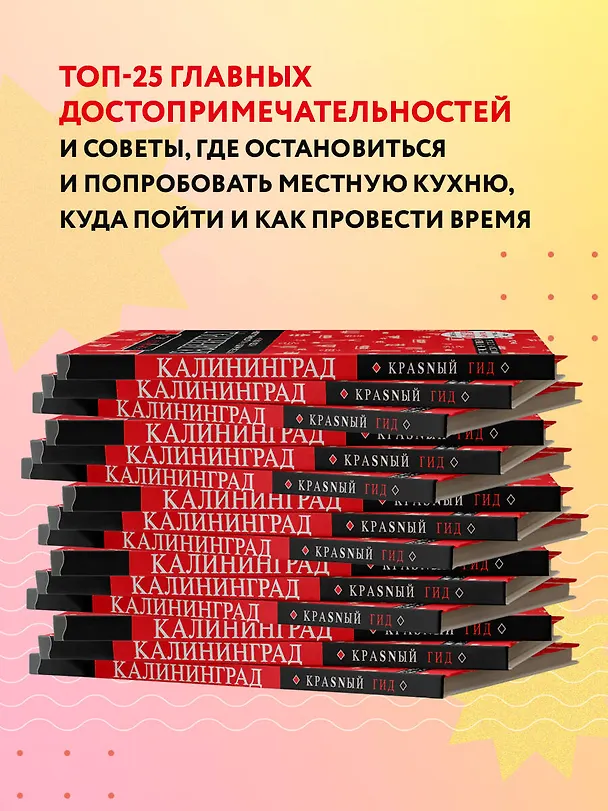 Книга Калининград. Путеводитель (Владимир Головин) — 6