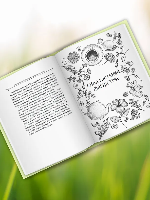 Книга Зеленое ведовство. Уютная книга природной магии (Мари Уоллес) — 6