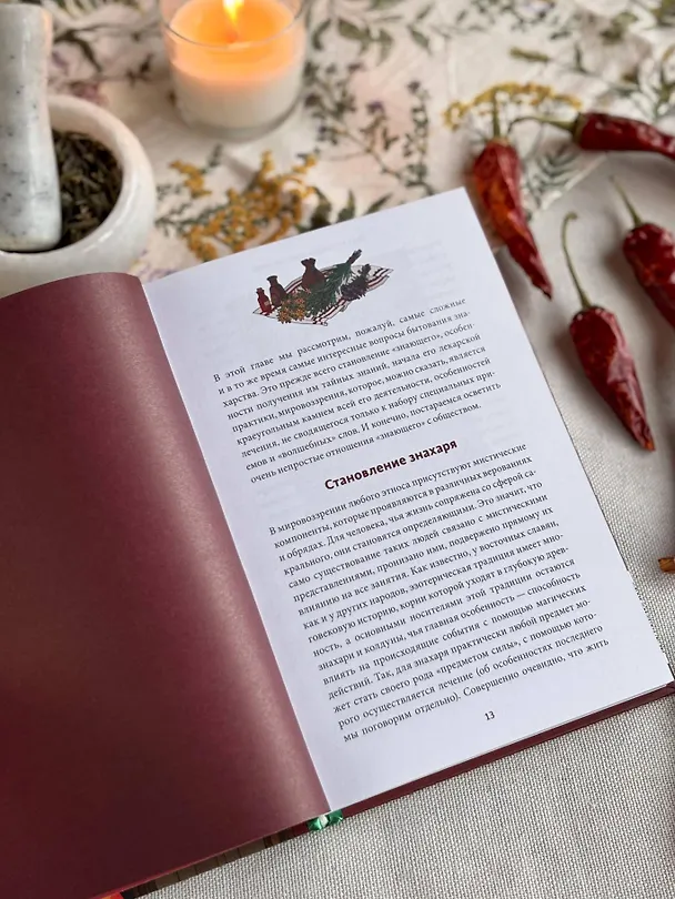 Книга Знахари и колдуны на Руси. Травники, костоправы, повивальные бабки и другие “знающие” (Галина Поповкина) — 12