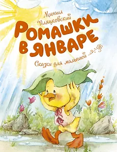 Ромашки в январе