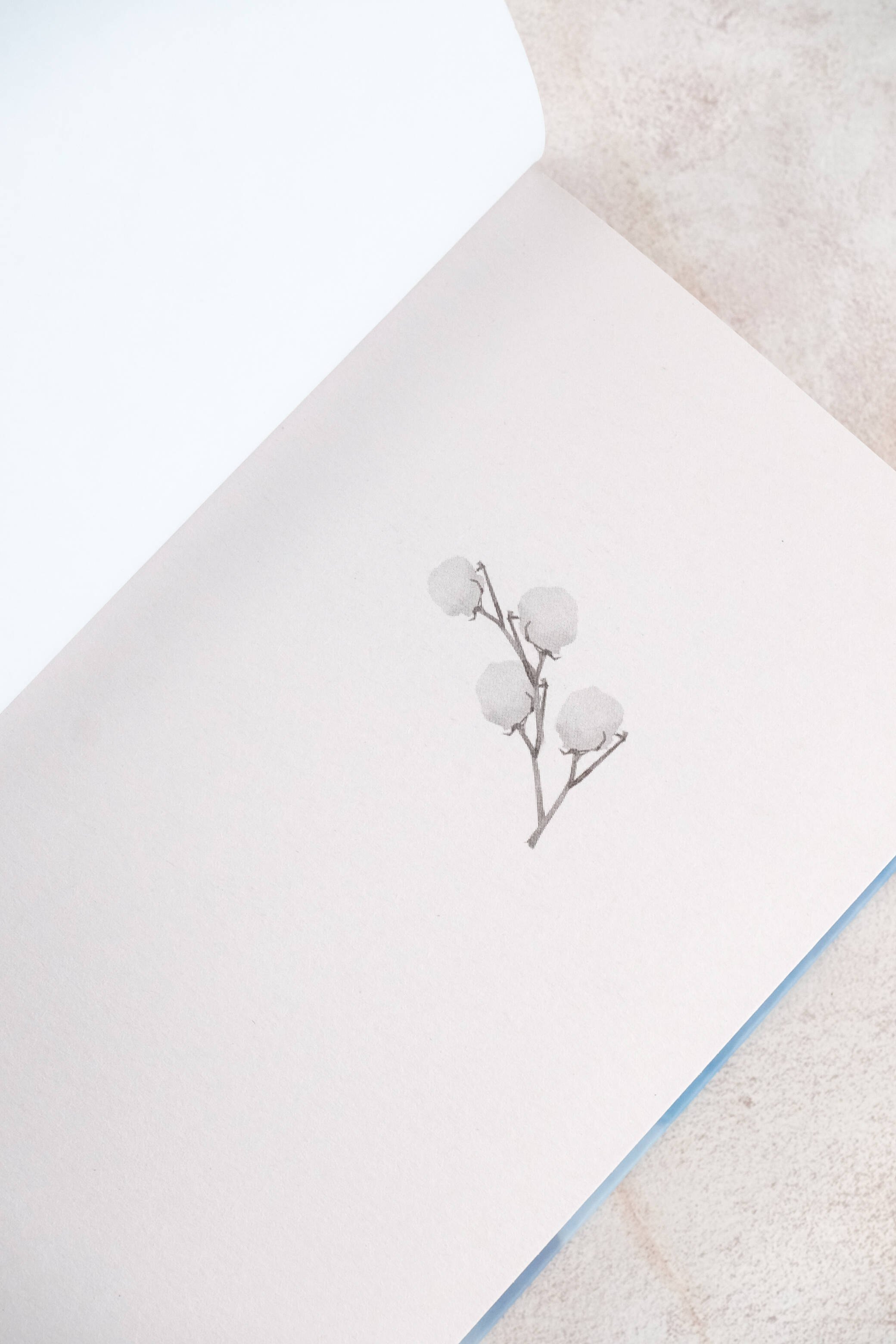 Изображение бумажной книги