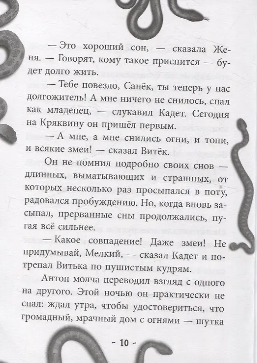 Книга Дом в тумане (Мария Мельникова) — 4