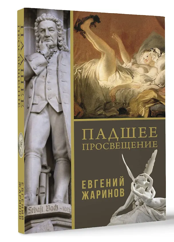 Книга Падшее просвещение (Евгений Жаринов) — 4