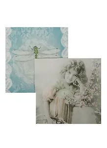 Набор салфеток для декупажа Девочка с цветами / Стрекоза (2088/SDL858000) (2шт) (упаковка)