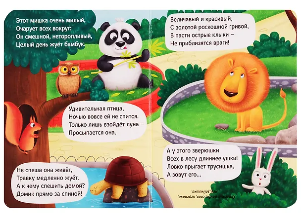 Книга ЦК МИНИ. ЗАГАДКИ (Анна Купырина) — 2