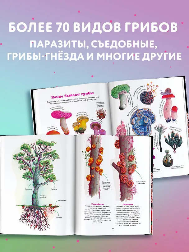 Книга Царство грибов (Октавия Москатти) — 6