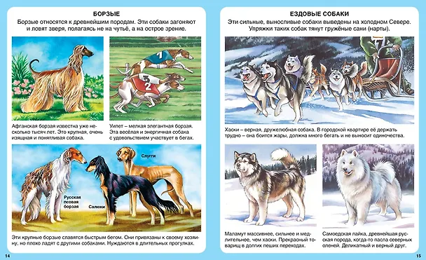 Книга Домашние питомцы (Патриция Рени) — 7