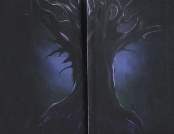 Книга Тайны  белых роз. Т. 2 (Екатерина Мирская) — 3