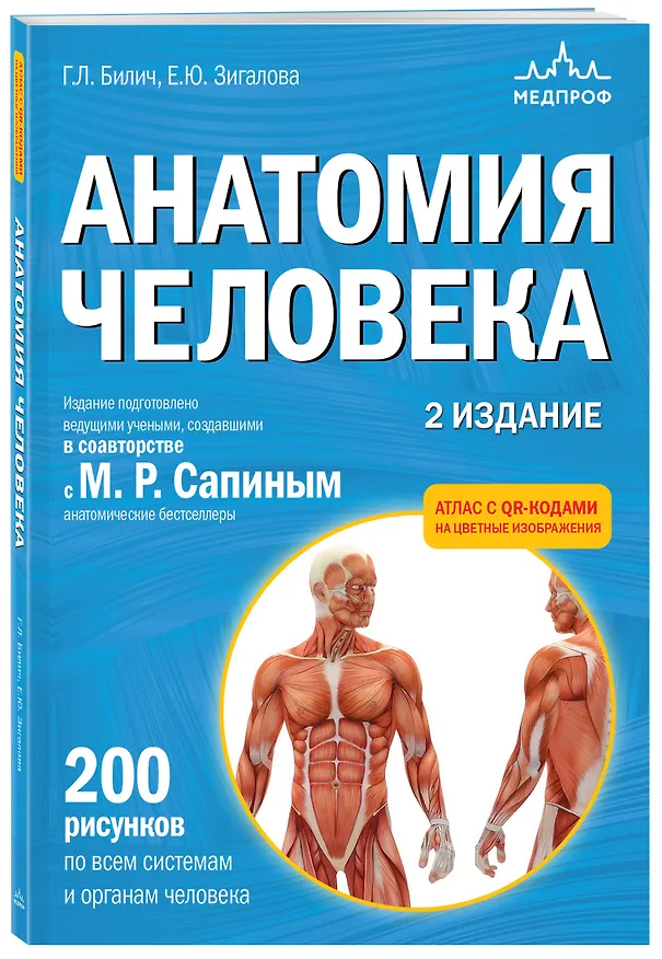 Книга Анатомия человека. 2 издание. Атлас с qr-кодами на цветные изображения (Елена Зигалова, Габриэль Билич) — 4