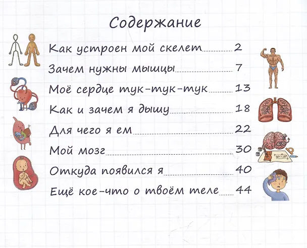 Книга Тайны твоего тела. Энциклопедия для детей (Оксана Иванова, Анастасия Чупрунова) — 6