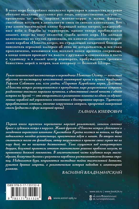 Книга Дети великого шторма (Наталия Осояну) — 2