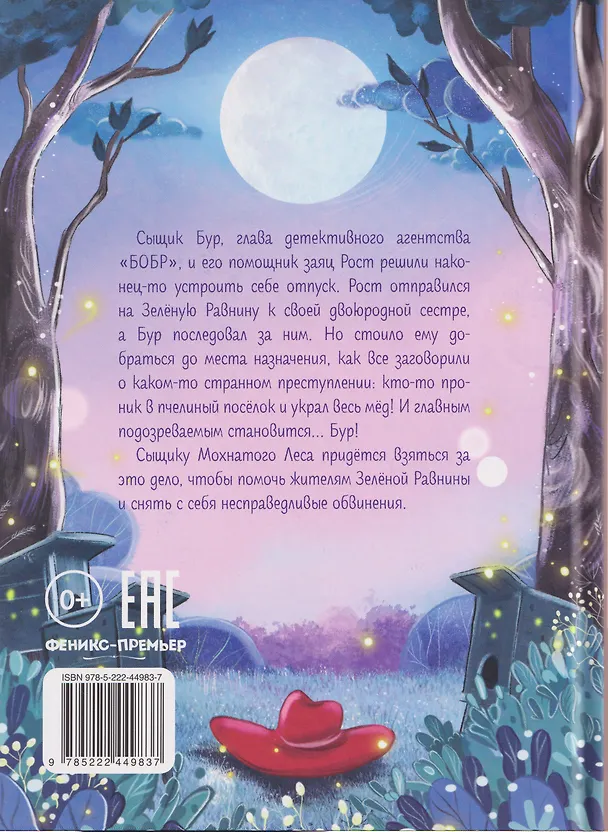 Книга Сыщик Бур и тайны Зелёной Равнины (Мария Швецова) — 2