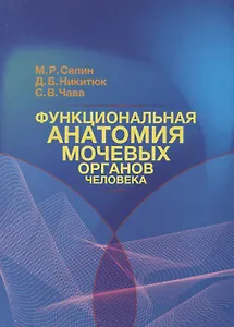Функциональная анатомия мочевых органов человека