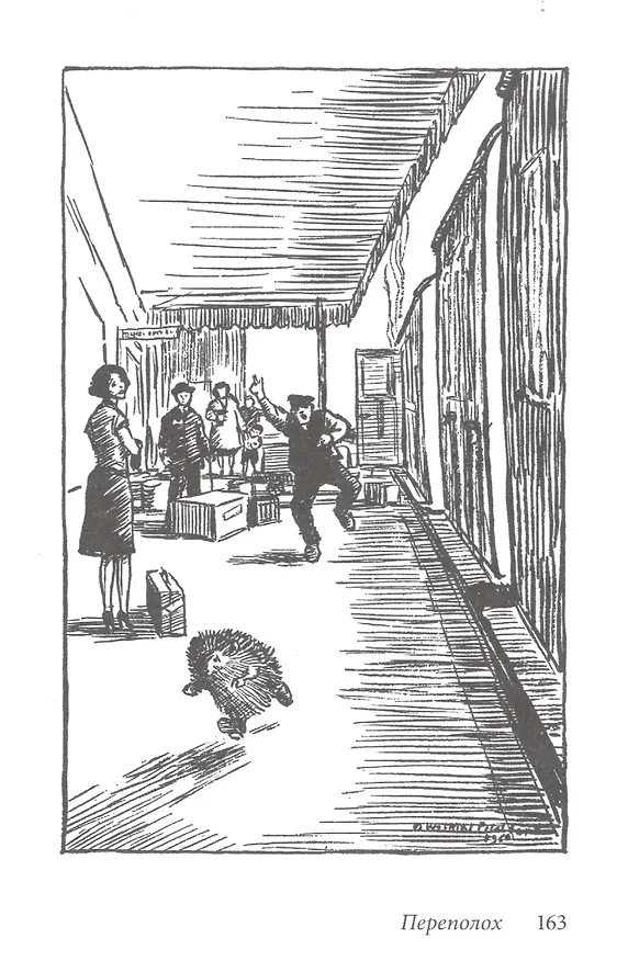 Книга Билл Барсук и пираты (Дeнис В.В. Уоткинс-Питчфорд) — 8