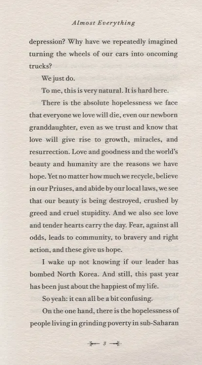 Книга Almost Everything. Notes on Hope (Энн Ламотт) — 5