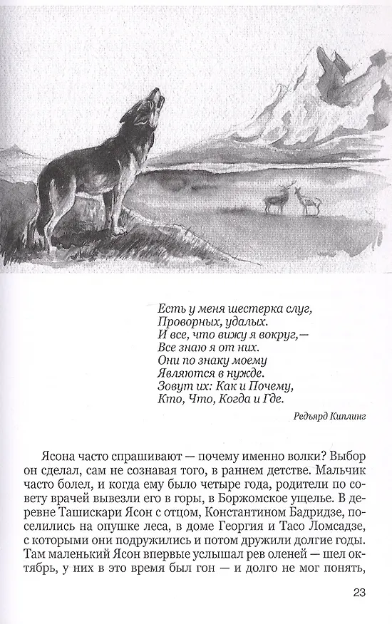 Книга Жизнь с волками (Ольга Арнольд) — 5
