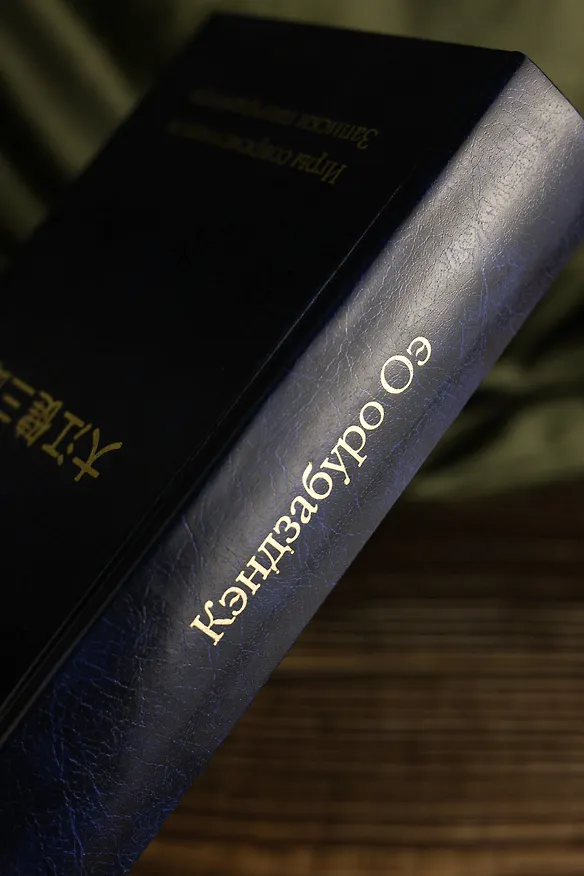 Книга Игры современников. Записки пинчраннера (Кэндзабуро Оэ) — 13