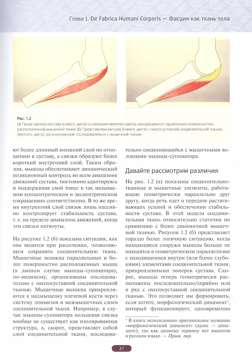 Фасция. Функциональные и медицинские аспекты (Дэвид Лесондак) - купить  книгу с доставкой в интернет-магазине «Читай-город». ISBN: 978-5-04-158008-7