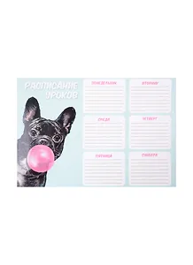 Расписание уроков А4 "ЗАБАВНЫЙ БУЛЬДОГ" мелов.картон, выб.Уф-лак