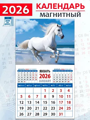 Календарь 2026г 94*167 «Год лошади. На морском берегу» на магните 3108785