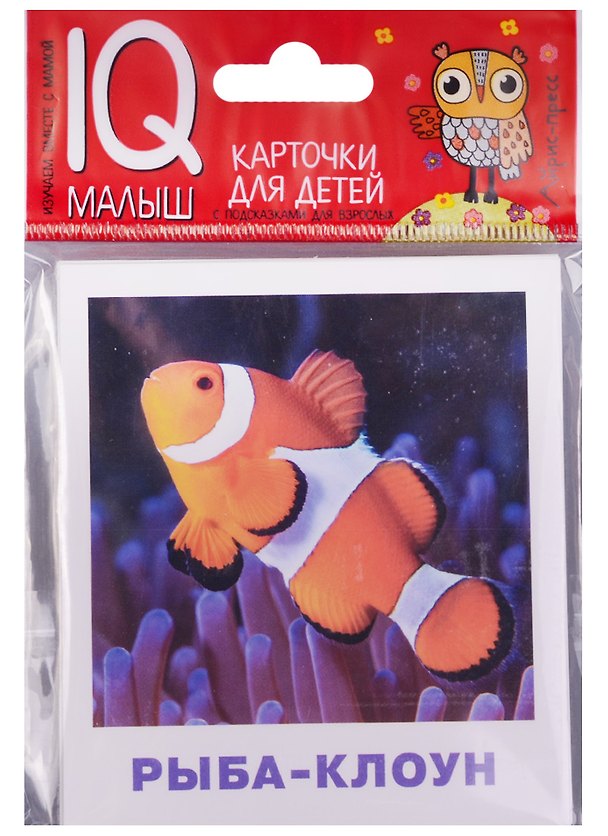 Книга Умный малыш. Обитатели морей и океанов () — 1