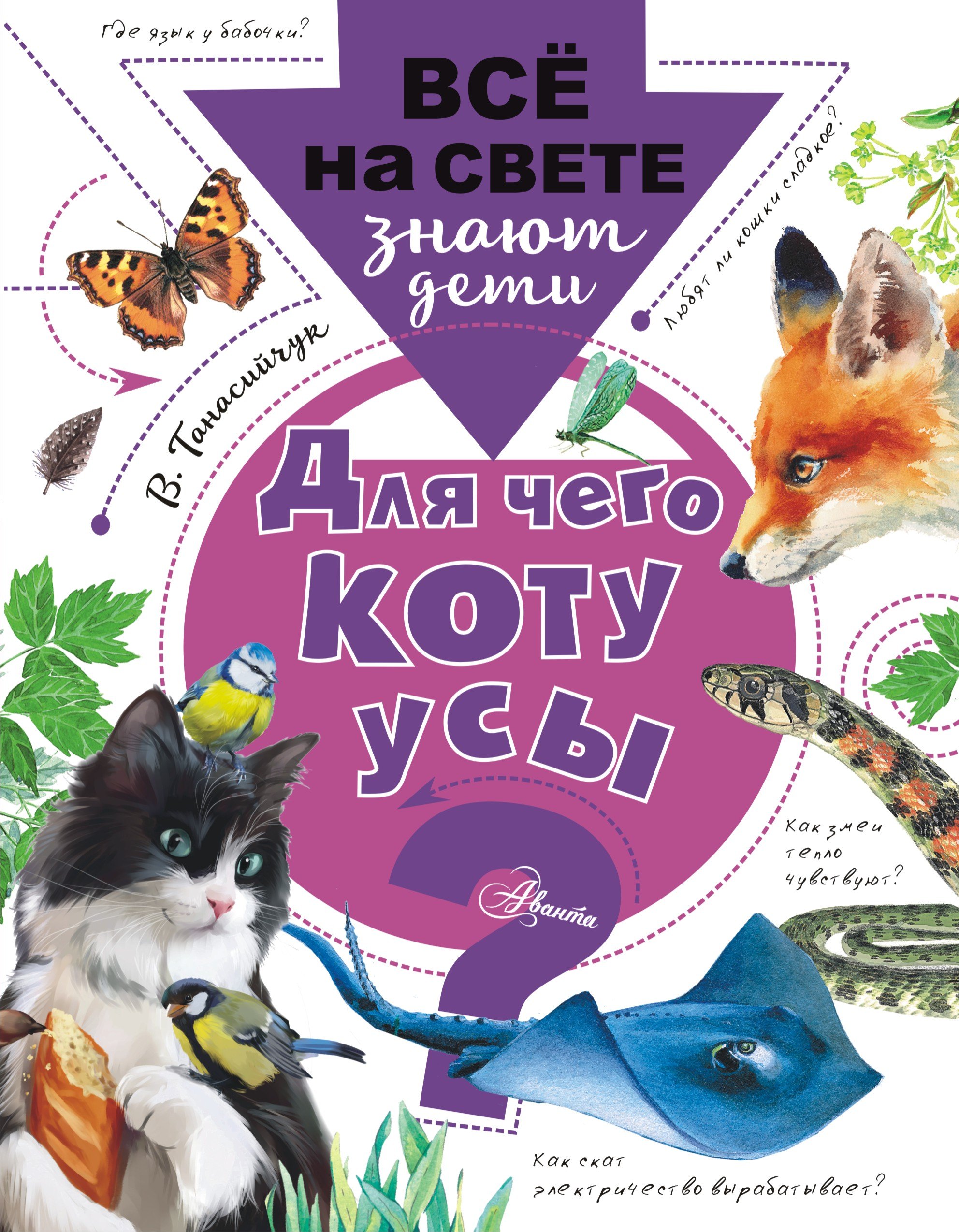 

Для чего коту усы