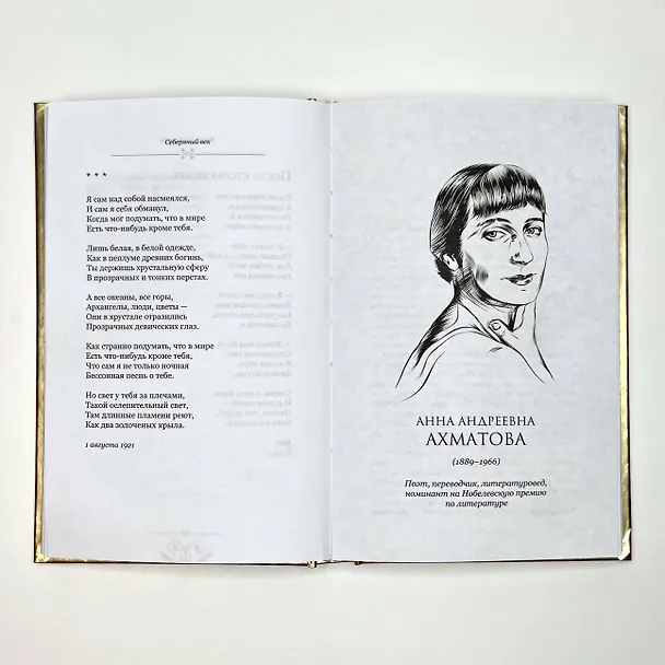 Книга Серебряный век (Владимир Маяковский, Анна Ахматова, Александр Блок) — 6