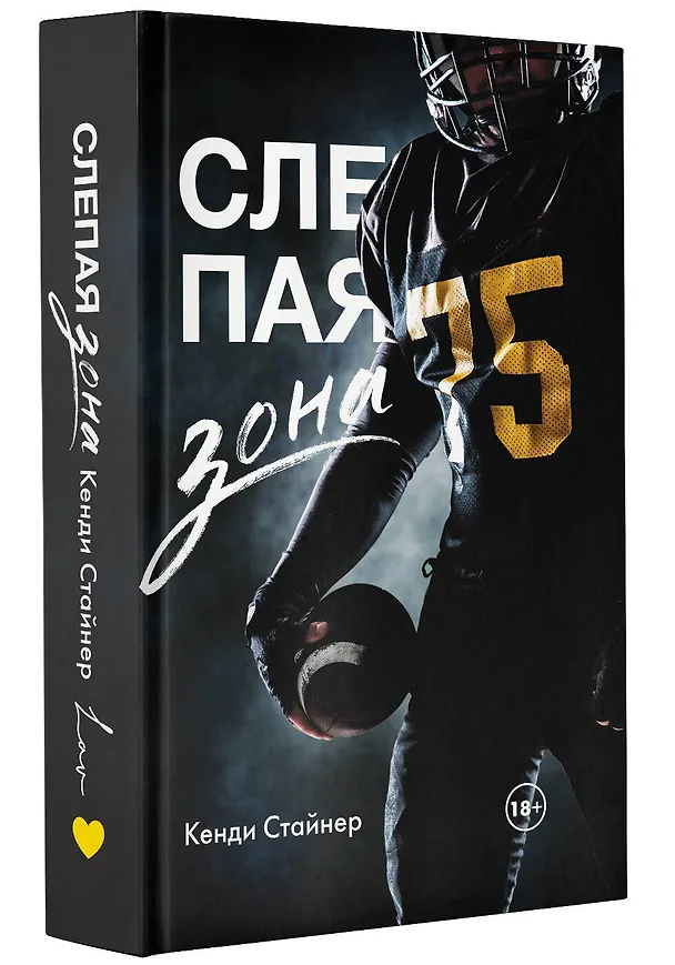 Книга Слепая зона (Кэнди Стайнер) — 4