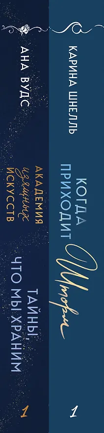 Книга Комплект из 2-х книг (Тайны, что мы храним + Когда приходит шторм) (Карина Шнелль, Ана Вудс) — 3