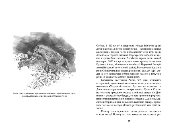 Книга Загадка Денисовского человека. Потерянное звено в истории человечества (Сильвана Кондеми, Франсуа Саватье) — 17