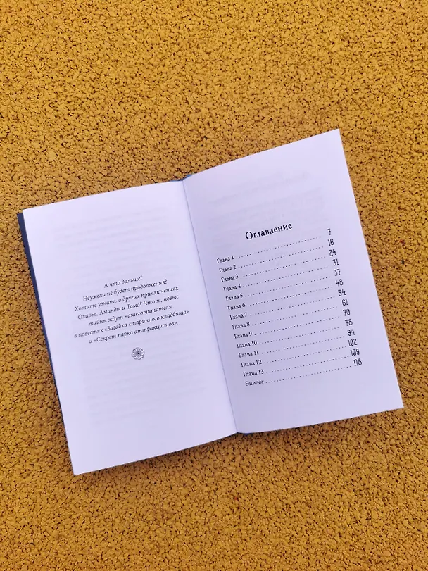 Книга Тайна заброшенного дома (Флориан Дениссон) — 10