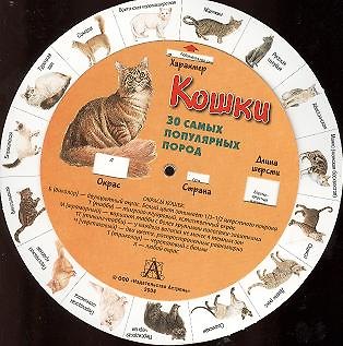 Книга Круг Кошки (бол) () — 1